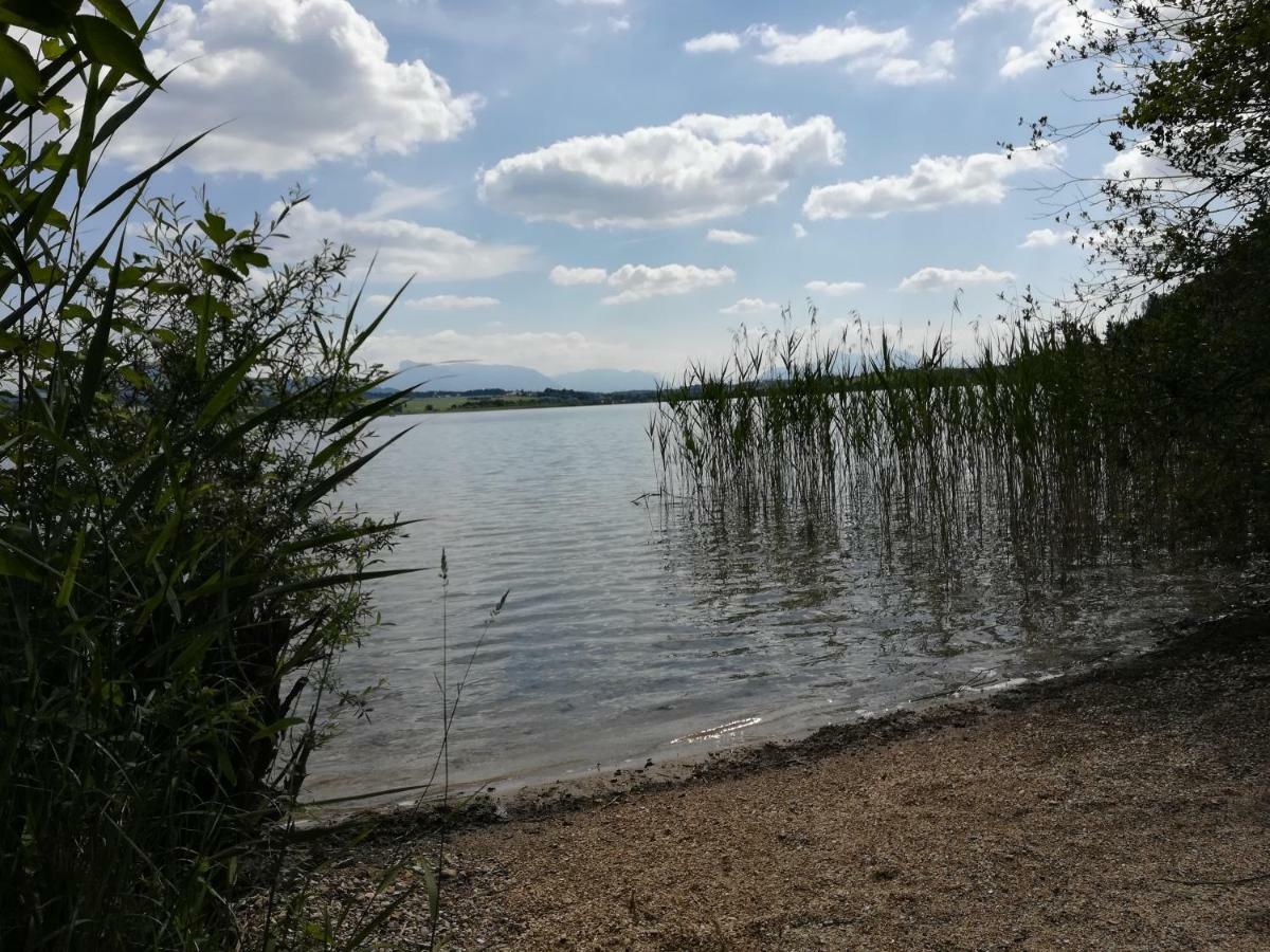 Am See 90 Seekirchen am Wallersee Ngoại thất bức ảnh
